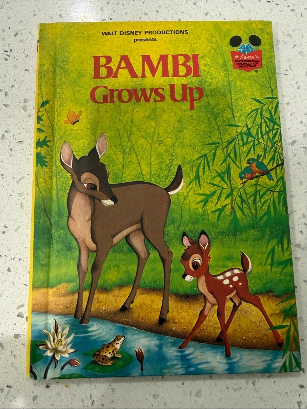 Disney Bambi Grows Up Green Yellow Brown Picture Book